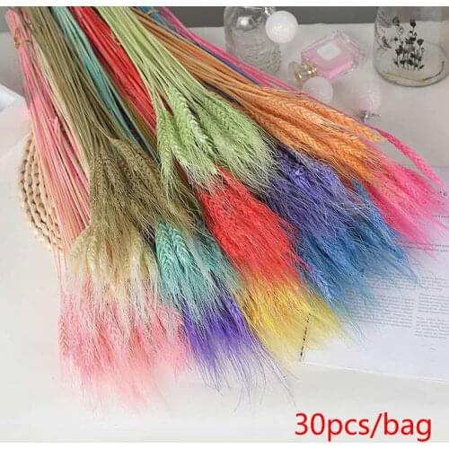 Real Wheat Ear Flower Decoration Natural Pampas Rabbit Tail Grass Dried Flowers For Wedding Party DIY Craft Scrapbook Bouquet