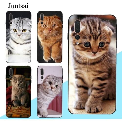 Scottish Fold Cat Case For Huawei P20 P30 P40 Lite Pro Mate 10 20 30 Lite P Smart 2019 Z