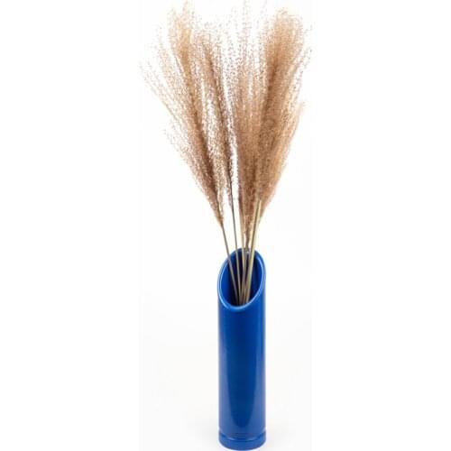 10Pcs/Bouquet Flores Secas Natural Fluffy Small Preserved Pampas Grass Dried Flowers Weddings Horsetail Whisk Wholesale