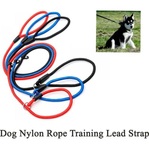 1pc Pro Pet Dog Nylon Rope Training Leash Running Walk Train For Large Small Cat Pets Slip Lead Strap Adjustable Traction Collar