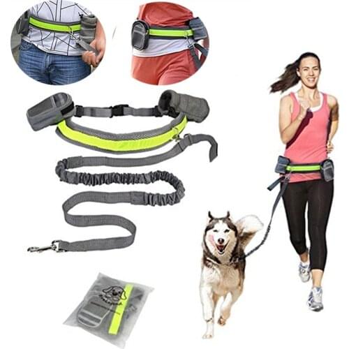 Pet Elastic Belt Running Dog Leash Set Hands Free Dog Leash Collar Pet accessories Puppy Dog Harness Leash For Animals KO879924