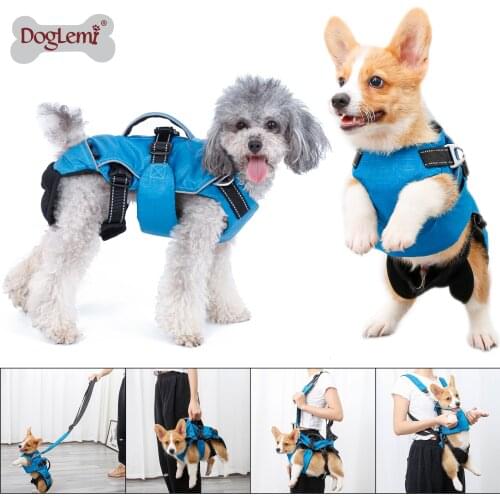 Multi functional dog harness 4 in 1 Puppy dog harness vest can use as pet shoulder backpack pet carrier