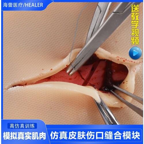 Student suture practice skin model simulation skin multiple wound suture module simulation surgical wound debridement suture