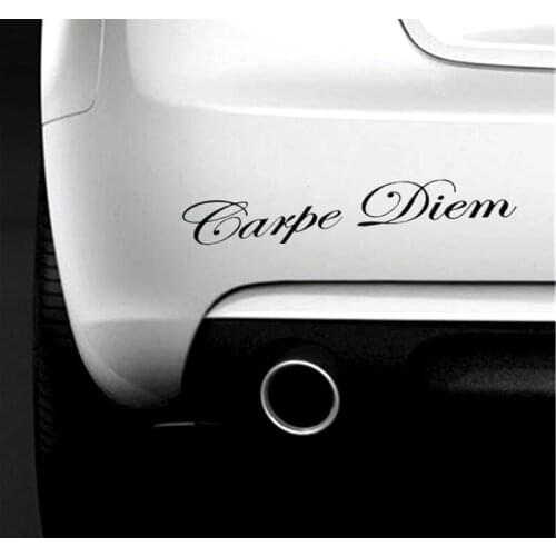10.1*57cm 4.2*25cm Carpe Diem car stickers and decals auto car sticker N594