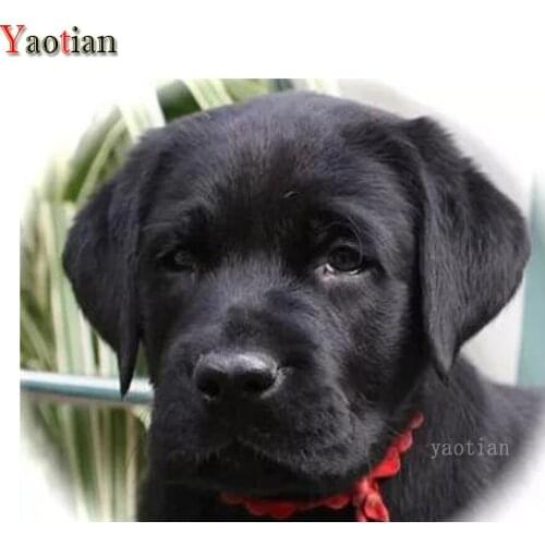 Brad Retriever Full Drill Square Round 5D Diamond Painting DIY Diamond Embroidery Kits Needlework Cute Dog Decorations Home Gift