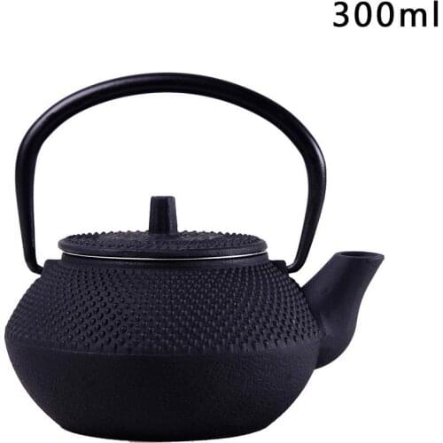 50ml/300ml/800ml Japanese Style Cast Iron Kettle Teapot Comes + Strainer Tea Pot Straight Hook Type Spout Kitchen Tea Set