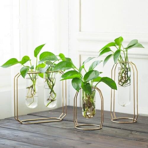 Metal Shelf Glass Vase Hydroponic Glass Pots Flower Vase Decorative Pots Planters Tube Vase