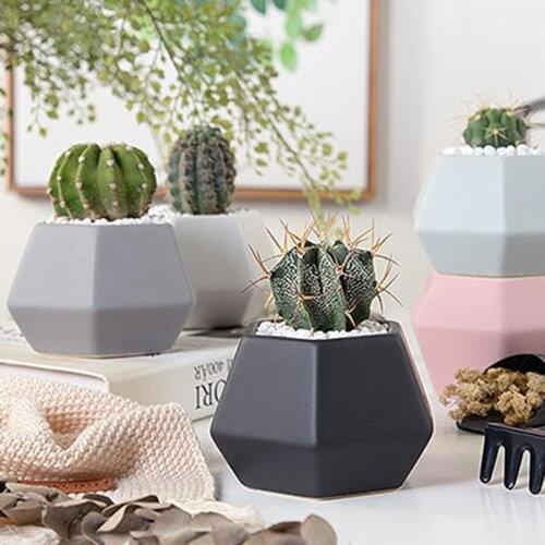 4PCS Mini Geometry Simpe Design Planter Pots Cactus for Home (Plants NOT