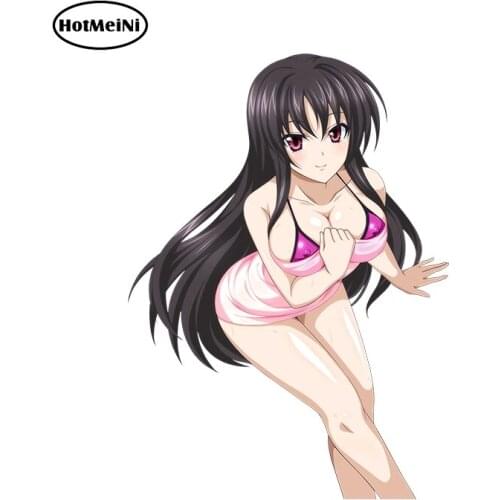 HotMeiNi Sexy Car Stickers High School DxD Raynare Render Cartoon Car Styling Vinyl Car Decal Window Wiper Decal Accessories