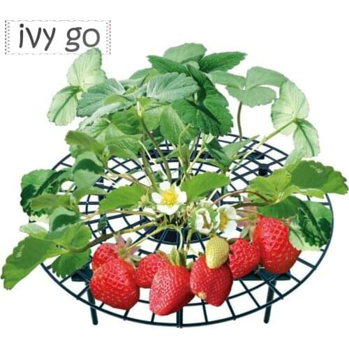 Strawberry Stand Frame Holder Fruit Support Balcony Planting Rack Flower Climbing Plant Vine Pillar Gardening Stand Tools