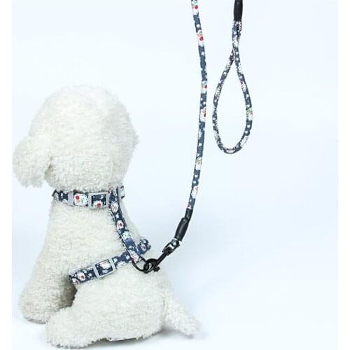 6 Colors Adjustable Pet Cat Collars for Small Dog Japanese Style Cat Harness and Leash Walking Katten Lead Collar Pet Supplies