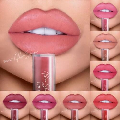 Matte Lip Gloss Lipstick Makeup Liquid Matte Lipstick Waterproof Long Lasting Sexy Red Lip Cosmetics Makeup Lip Nude Lip Stick