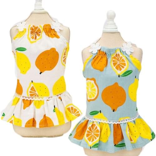 Fruit Pattern Summer Dog Dress Small Medium Girl Dog Cat Pricess Dresses Lace Shoulder Lemon Print Party Dress Bichon Pet Skirt