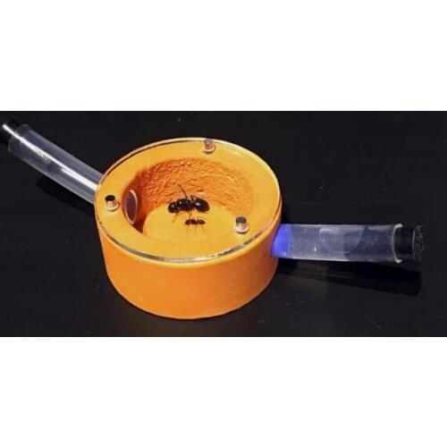 Mini Moom Ants Workshop Ant Nest Acrylic Farm Ecological Ants Castle Insect Cages Students Scientific Class Device Toy Size 55MM