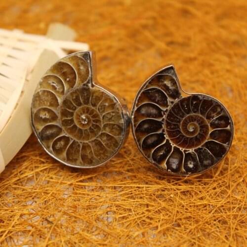 6pcs Irregular Random Shape Natural Ammonoid Stone Conch Shell Fossils By Hand Brown Snail Healing Rings for Women Jewelry Free