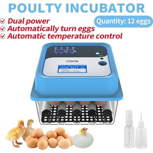 Incubator Egg Incubator Fully Automatic Incubator Household Brooder Farm Chicken Incubator Bird Egg Incubator 12 Eggs