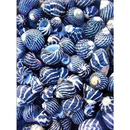 Full Square/Round Diamond Painting Kits Conch Shell Diamond Embroidery Mosaic Landscape Decoration For Home