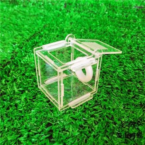 Ant Nest Glass Tube Mini Ant Nest with Active Zone Insect House Acrylic Ant Farm