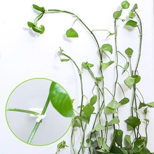 Plant Climbing Wall Fixture Clips 5PCS Vine Climbing Wall Fixer Self-Adhesive Hook Binding Clip Wall Vines Fixing Clip Holder