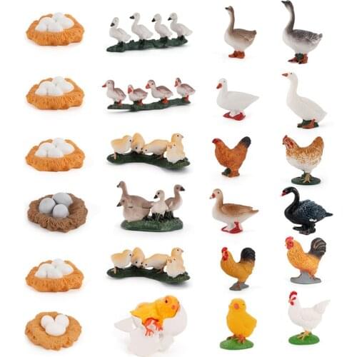 Simulation Domestic Bird Growth Cycle Duck,Goose,Chicken Life Cycle Figurine Plastic Models Action Figures Educational Kids Toy