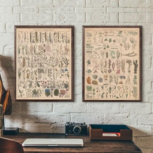 Art Decor Botanical Vegetable Fruit Illustration Vintage Chart Science Wall Art Canvas Painting Repro Canvas posters