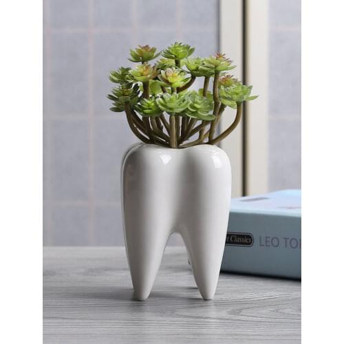 Teeth flowerpot vase tooth statue model dental clinic gift dental toy dental implant tooth orthodontic halloween garden decor