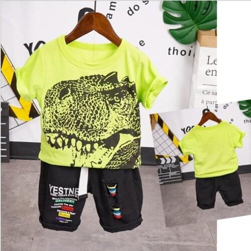 New Summer Baby Clothes Suit Children Fashion Boys Girls Cartoon T-Shirt and Shorts 2Pcs/set Toddler Casual Kids Tracksuits 2-6Y