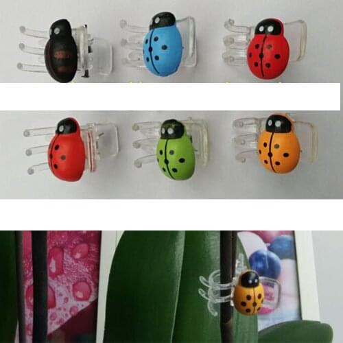 30pcs/lot Cute Ladybug Orchid Clips Garden Flower Clips Plant Stem Support Help Vines Grow 2x2.5cm