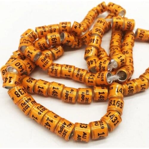 100pc Pigeon Foot Ring With Word Earrings 2019 Quality Durable Bird Ring Pheasant Foot Ring Multicolor Bird Tools Wholesale