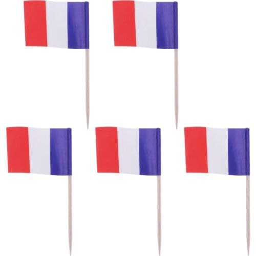100pcs France Flag Shape Picks Cake Toppers Decorative Cupcake Muffin Food Fruit Picks Festival Birthday Party Favors
