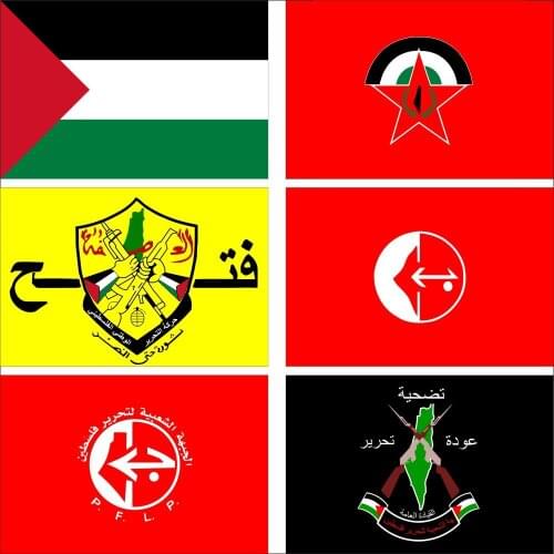 Palestine Liberation Organization Flag 3X5ft 90X150cm 60x90cm 21x14cm PFLP Fatah Banner