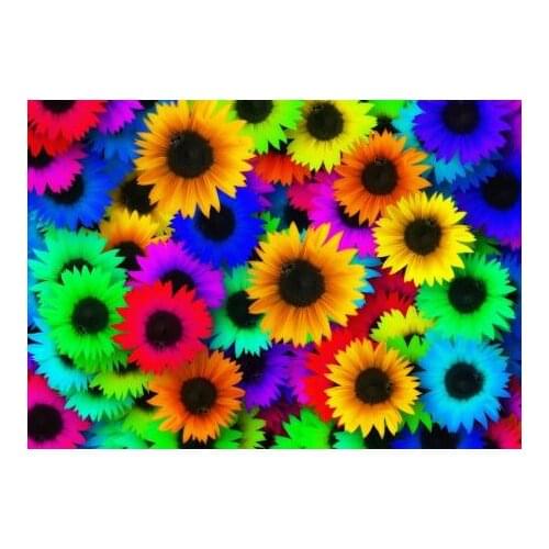 Rainbow Flowers Diamond Painting Kit - DIY Rainbow Flowers-6