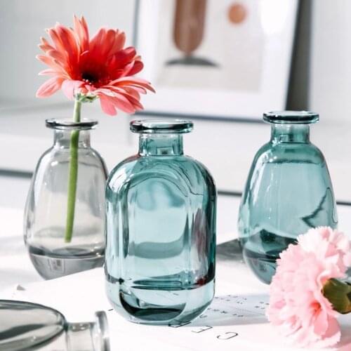 Scandinavian Glass Vase Home Decor Hydroponic Plant Vase Desktop Aromatherapy Accessories Storage Bottle Flower Container Jar