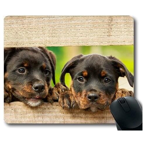 Dog Lover Mouse Pad,Rottweiler Puppy Dog Dogs Cute Animal Animals,dogs mouse mat
