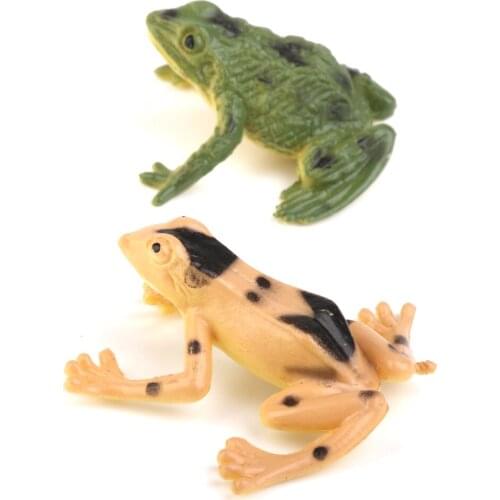 12pcs Colorful Plastic Frog Figures Realistic Model Decoration Kids Toy