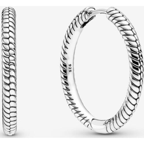 2021 Autumn Collection Moments Charm Hoop Earrings 925 Sterling Silver Earring For Women Jewelry Diy Free Shipping