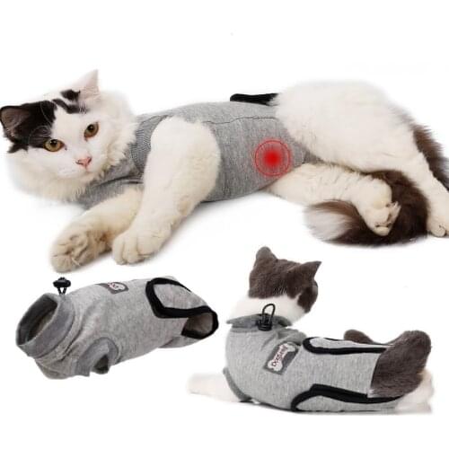100Petcent Products For Cats