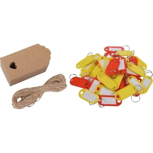 100 Pcs Kraft Paper Empty Card Hand Drawing Gift Label Tags Hearts Hollow Brown & 100Pcs Key Ring Tags Color Random
