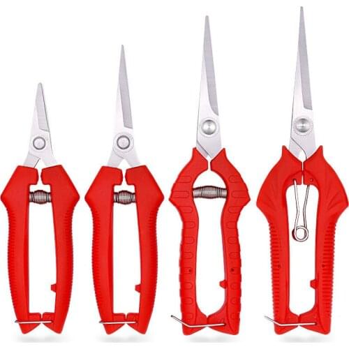 Pruning shrubs, tools, plants, gardening, potted plants, leaf pruning, pruning, gardening, fruit, flower beds, and hand tools su