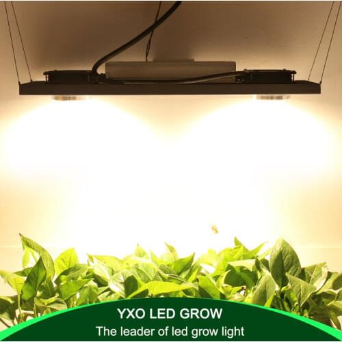 YXO YUXINOU LED Holiday Light Bulbs