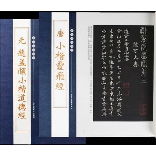 Chinese Calligraphy Book 2pcs/set Chinese Regular Script Brush Calligraphy Practice Copybook a Rubbing from a Stone Inscription