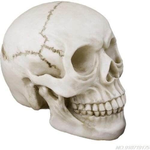 Resin Art Human Skull Replica Teaching Model Realistic 1:1 Adult Size D07 20 Dropshipping
