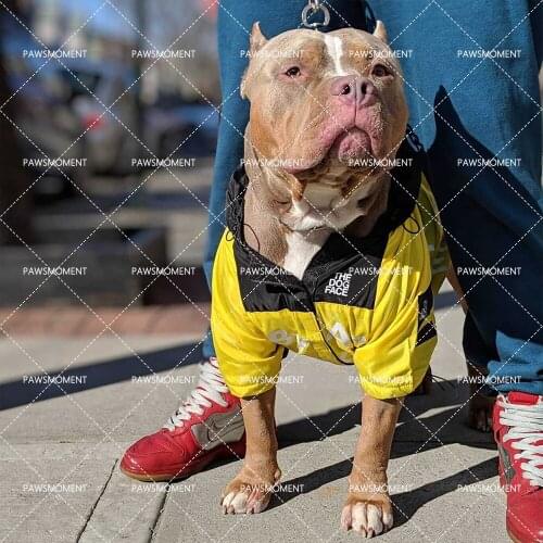 French Bulldog Raincoat Pet Dog Clothes for Small Medium Big Dogs Clothing Chihuahua Windbreaker for Yorkies Pug Hoodies PC1364