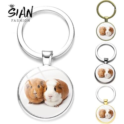 SIAN Cute Guinea Pig Car Pendant Keychain Man Women Metal Key Chain Ring Round Glass Surface Keyring Gifts For Children Trinkets