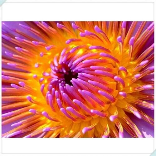 New 5D DIY Diamond Painting "Colorful daisy floral" Embroidery Full Square Diamond Cross Stitch Rhinestone Mosaic Decor WG368