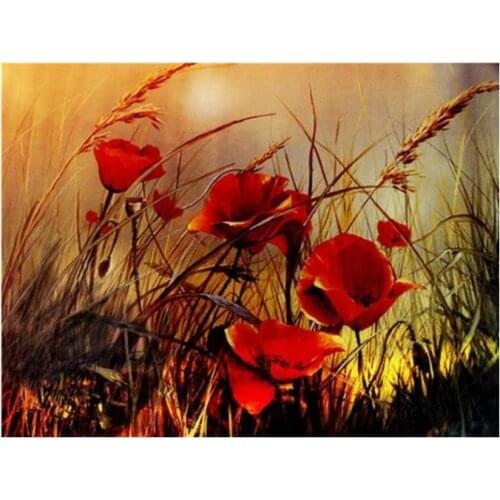 Diy full diamond painting poppy flowers mosaic embroidery cross stitch rhinestone picture puzzle drawing wall decor craft gifts