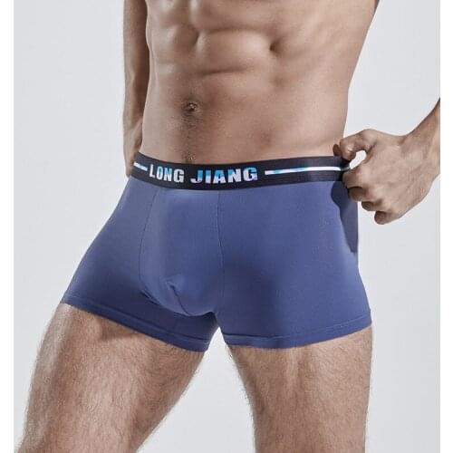 Sexy Men Underwear Cool Ice Silk Boxers Shorts Man Breathable Mid-rise U Convex Pouch Underpants Cueca calzoncillos S-XL