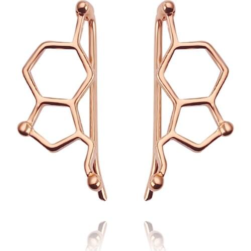 New Jewelry Ear Clip Chemical Molecule Serotonin Earrings Creative Geometric Figure Earrings Birthday Gifts Chemistry Decoration