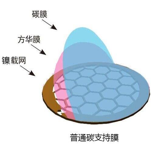 Common Carbon Film of Imported Nickel Mesh for 50-400 mesh Transmission Electron Microscope