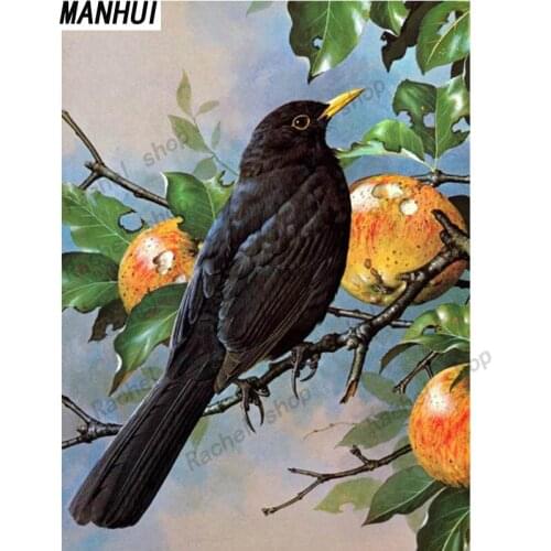 Diamond Embroidery Diy Diamond Painting Cross Stitch Kits Diamond Mosaic Bird Full Square Diamond Embroidery AD333